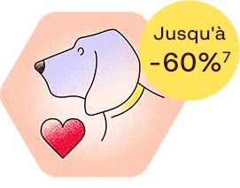 Jusqu'à -60% (7)