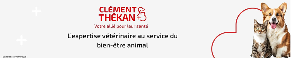 Clément Thékan Header