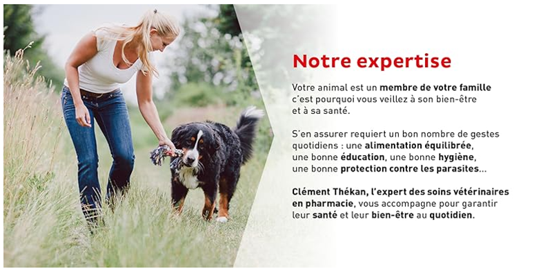Notre expertise