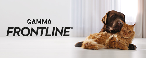 Gamma Frontline