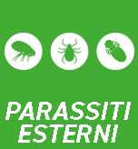 Parasitti esterni 