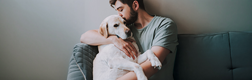 un uomo coccola un golden retriever
