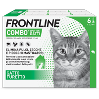 Frontline Combo Gatto