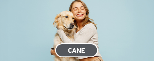 Frontline Cane