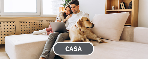 Frontline Casa