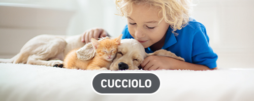 Frontline Cucciolo