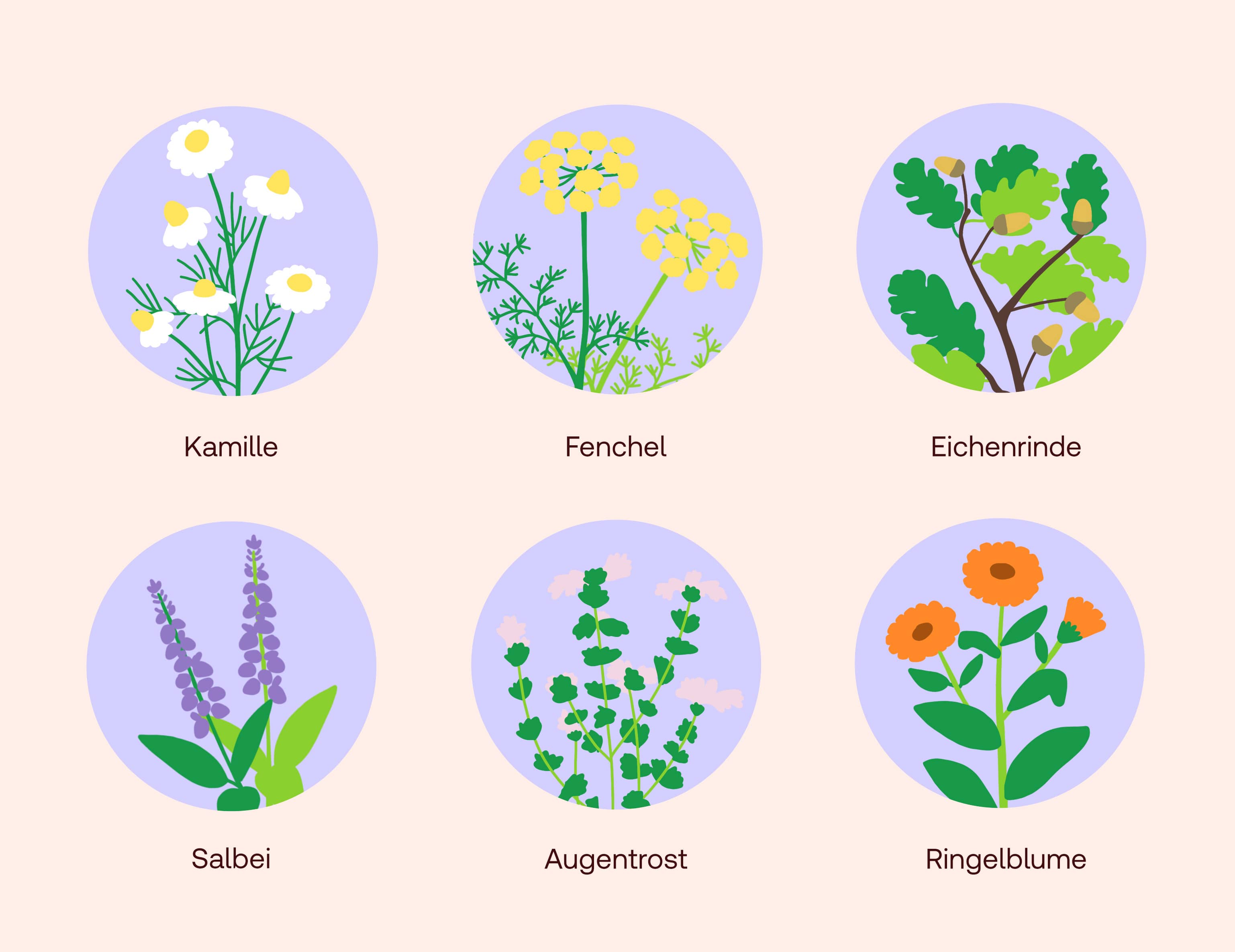 Remède maison conjonctivite